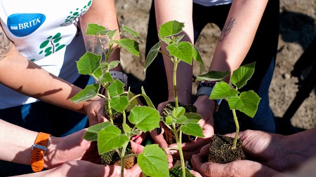 malezdjeciasadzeniedrzewtlenowych1